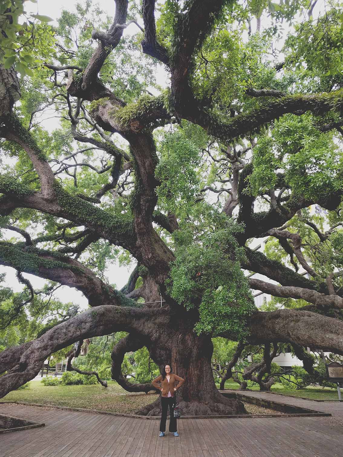 Author with treat oak in the background